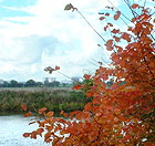 Herbstliche Impressionen